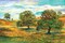 Wild Poppy Landscape II Poster Print by Gregory Gorham - Item # VARPDXGOR645